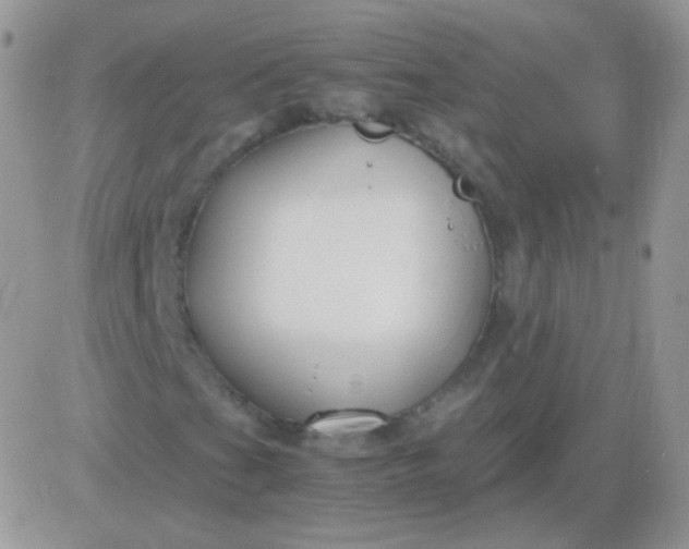 X0000081391201200701252055