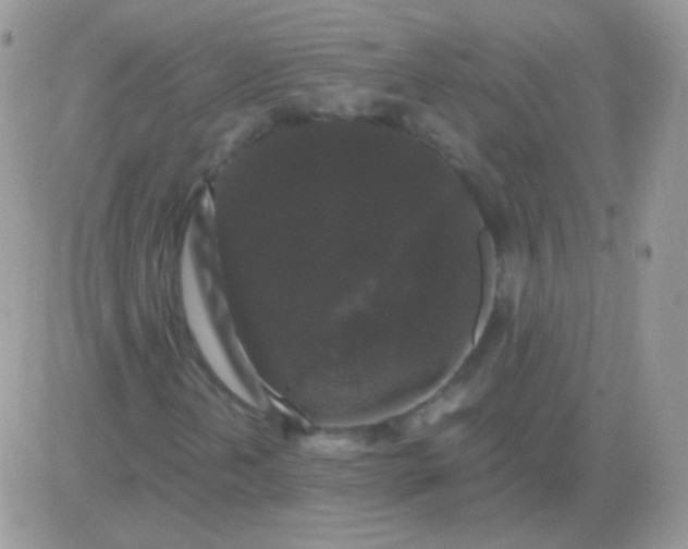 X0000081391202200701252055