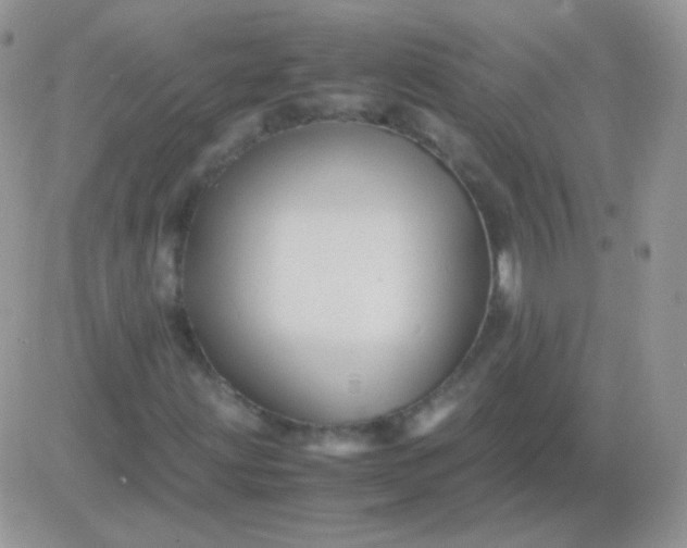 X0000081391203200701252055