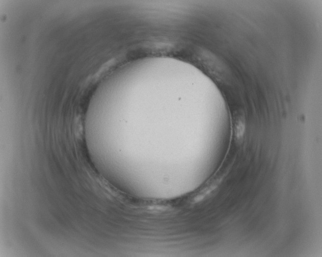 X0000081391204200701252055