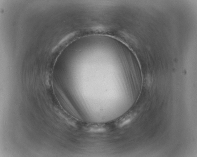 X0000081391205200701252055