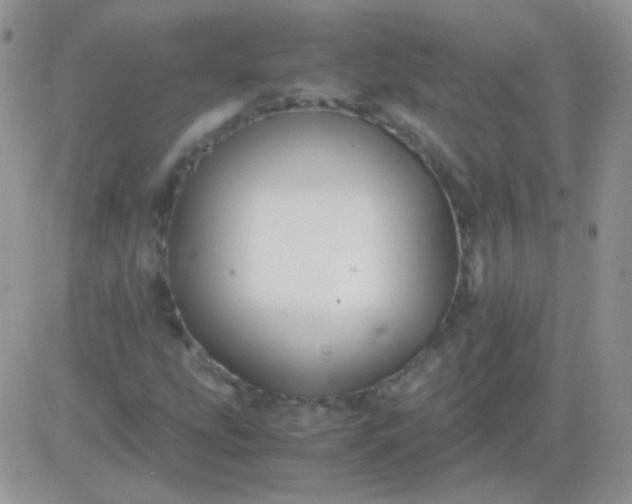 X0000081391207200701252055