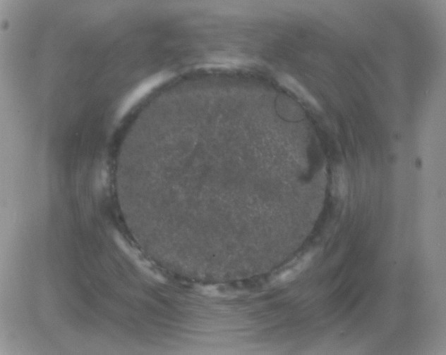 X0000081391208200701252056