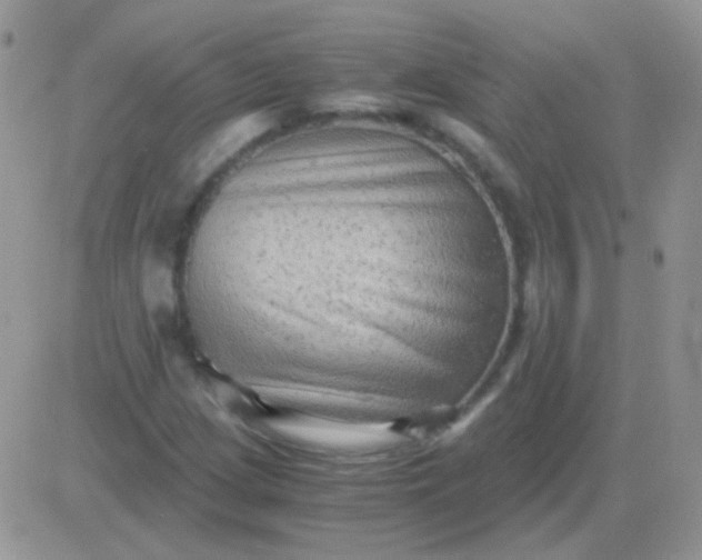 X0000081391209200701252056