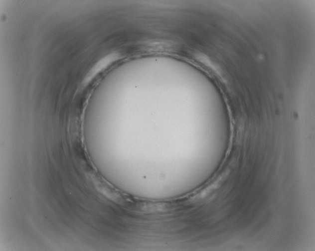 X0000081391211200701252056