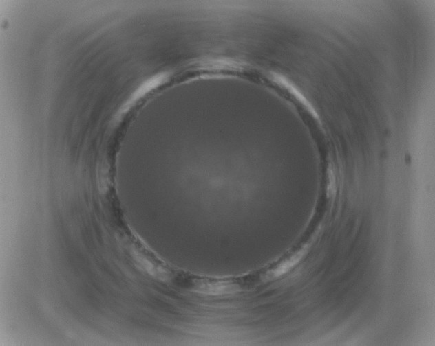 X0000081391213200701252056