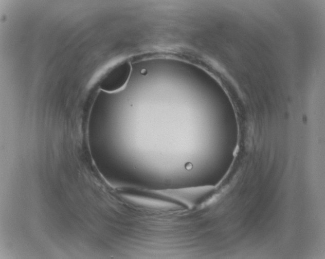 X0000081391214200701252056