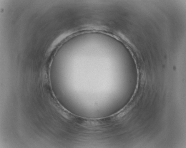 X0000081391215200701252056