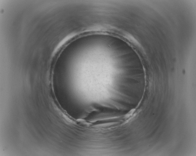 X0000081391216200701252056