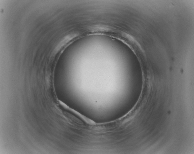 X0000081391217200701252056