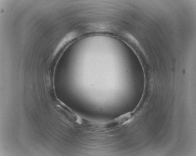 X0000081391218200701252056