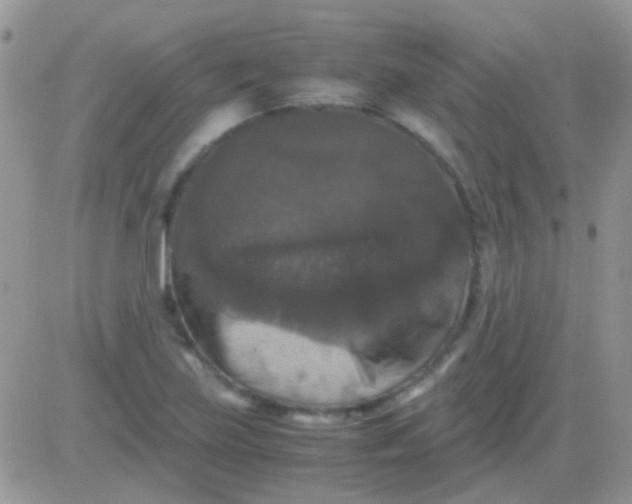 X0000081391219200701252056