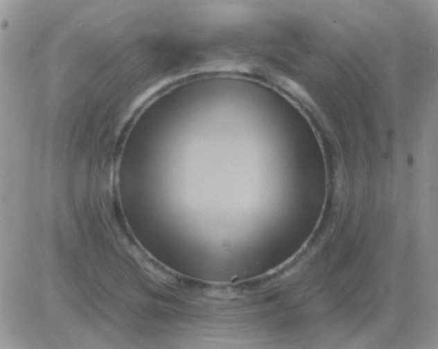 X0000081391220200701252056