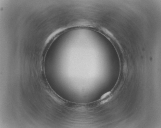 X0000081391222200701252056