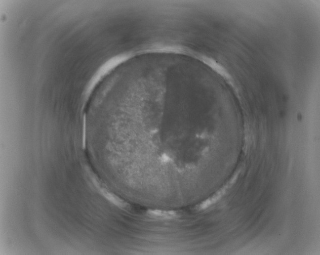 X0000081391223200701252056