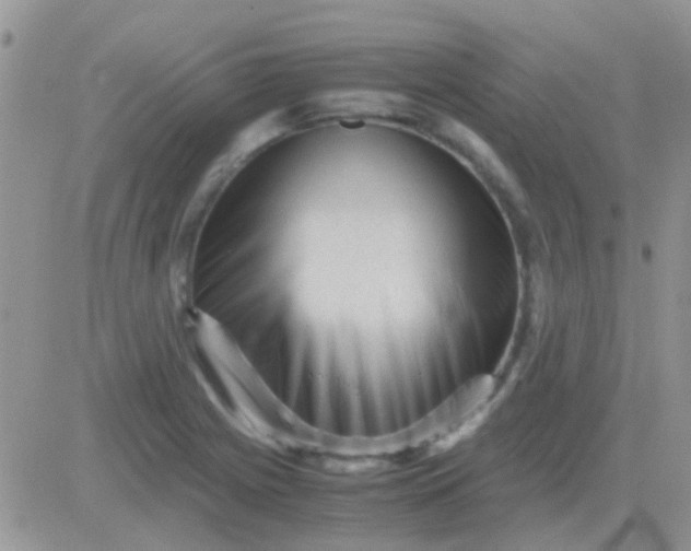 X0000081391225200701252056