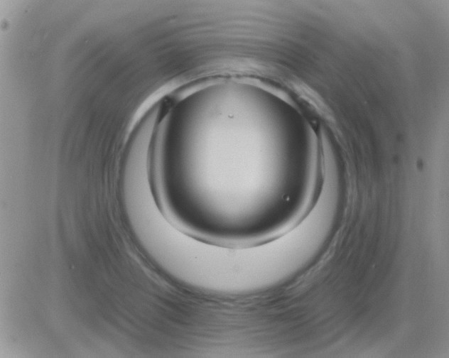 X0000081391226200701252056