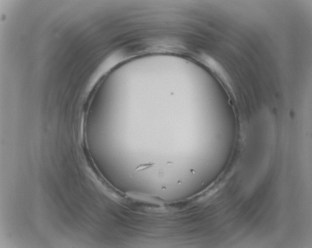 X0000081391227200701252056