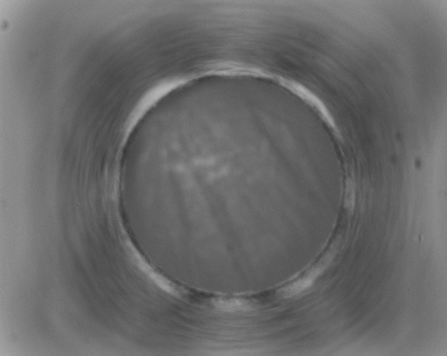 X0000081391231200701252056