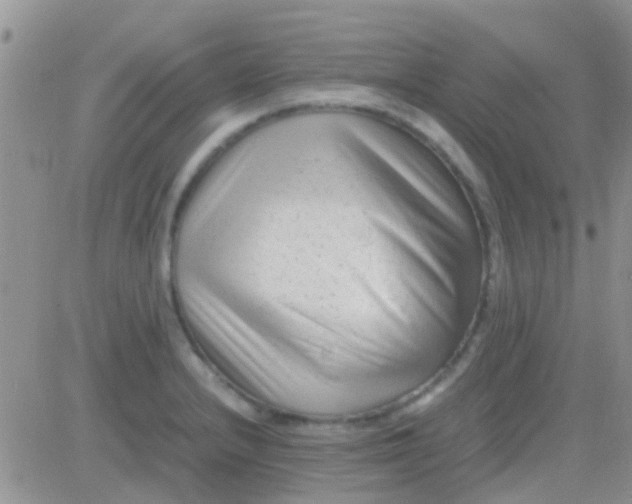 X0000081391232200701252056