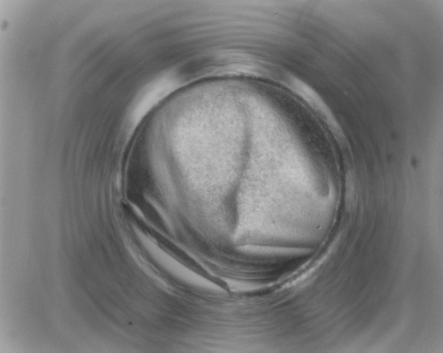 X0000081391234200701252056