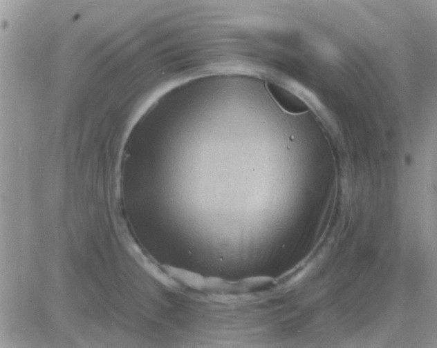 X0000081391236200701252056