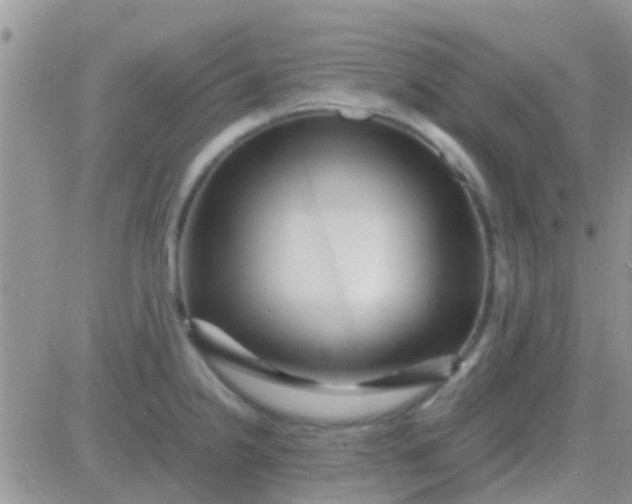 X0000081391238200701252056