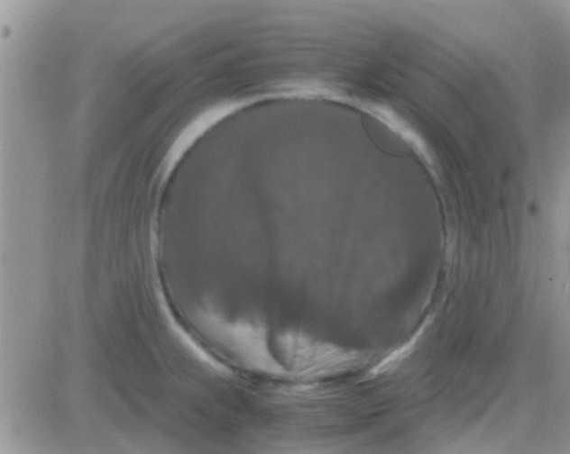 X0000081391239200701252056