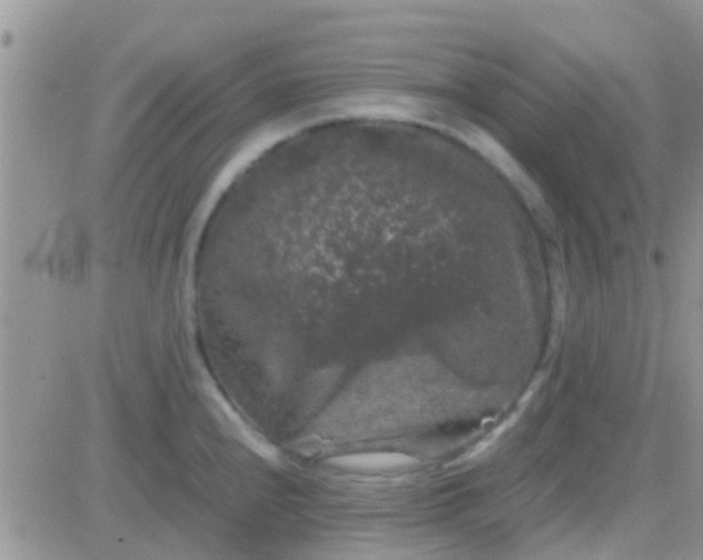 X0000081391240200701252056