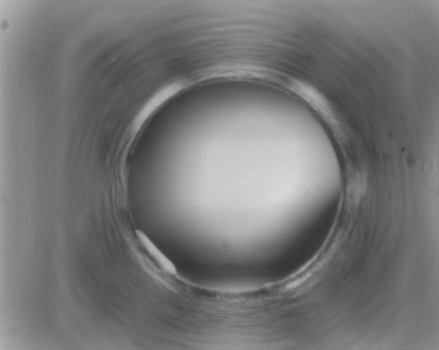 X0000081391242200701252056