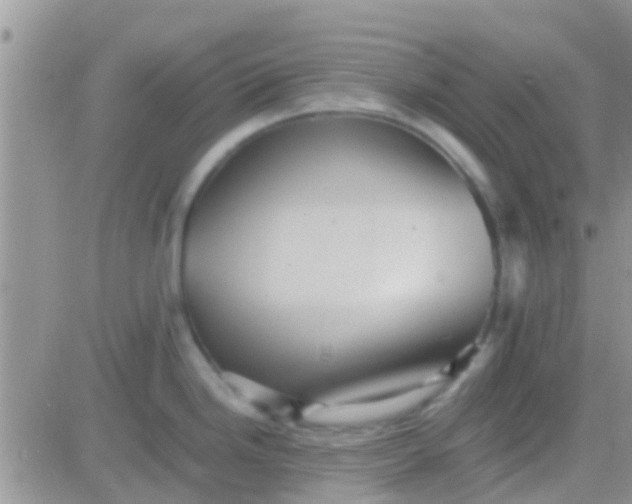 X0000081391246200701252056