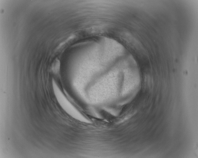 X0000081391250200701252055