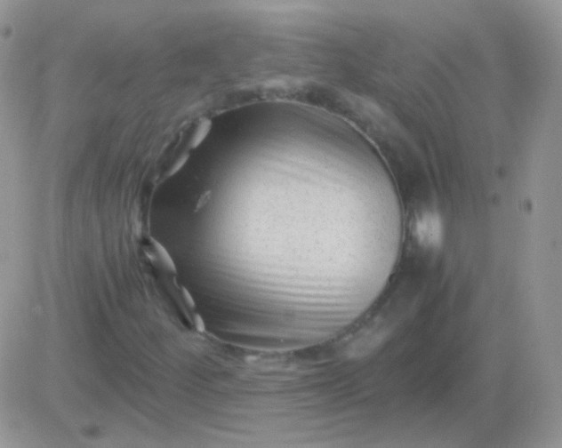 X0000081391252200701252055