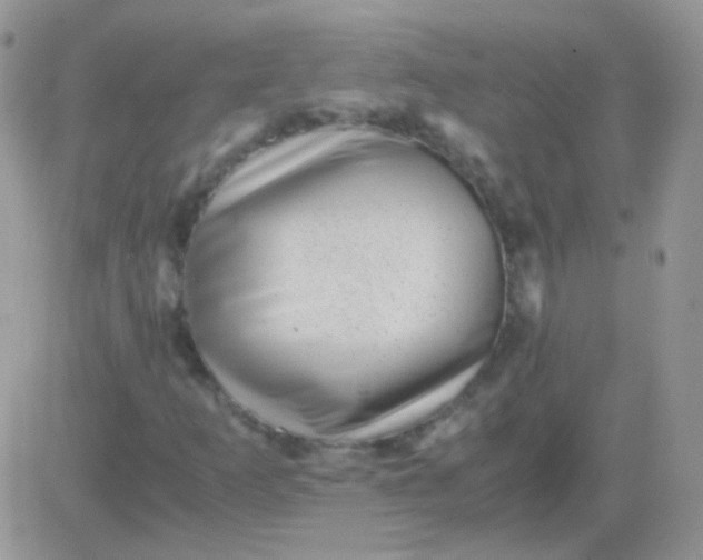 X0000081391253200701252055