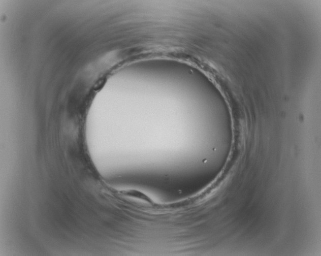 X0000081391257200701252055