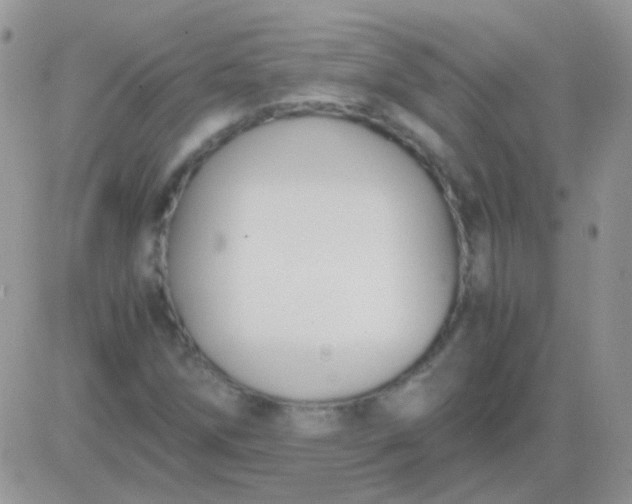 X0000081391258200701252055