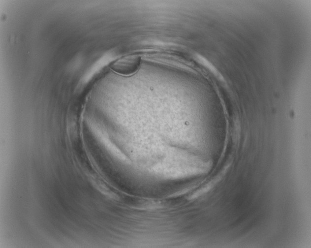 X0000081391259200701252055