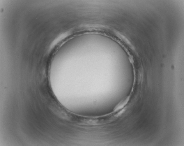 X0000081391261200701252055