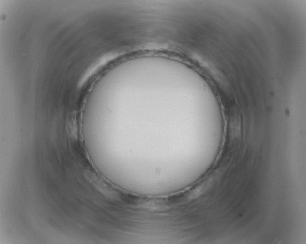 X0000081391262200701252055