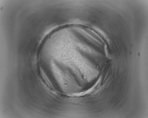 X0000081391264200701252055