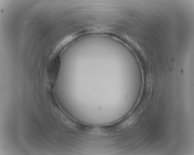 X0000081391265200701252055