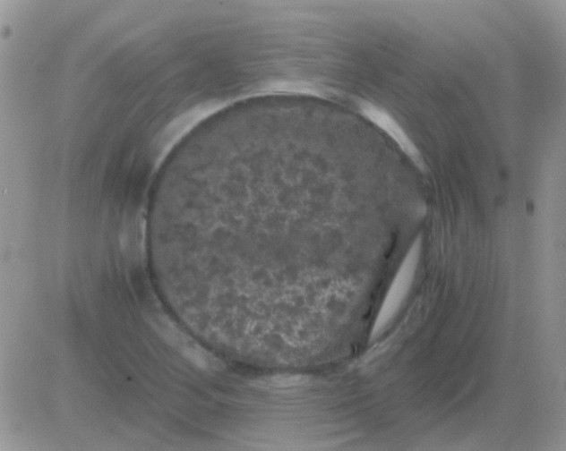 X0000081391268200701252055