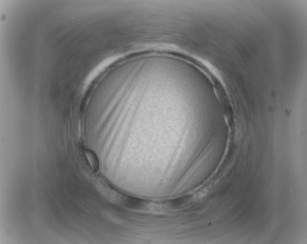 X0000081391271200701252055