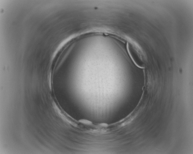 X0000081391272200701252055