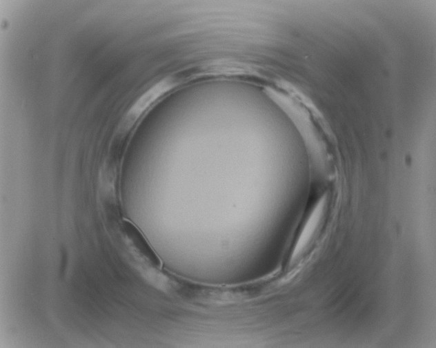 X0000081391273200701252055