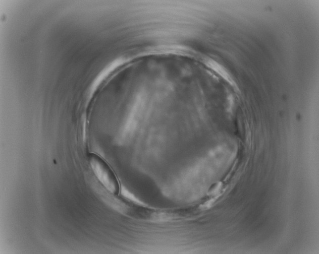 X0000081391275200701252055