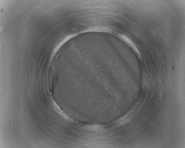 X0000081391276200701252055