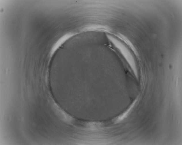 X0000081391277200701252055