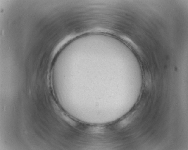 X0000081391278200701252055