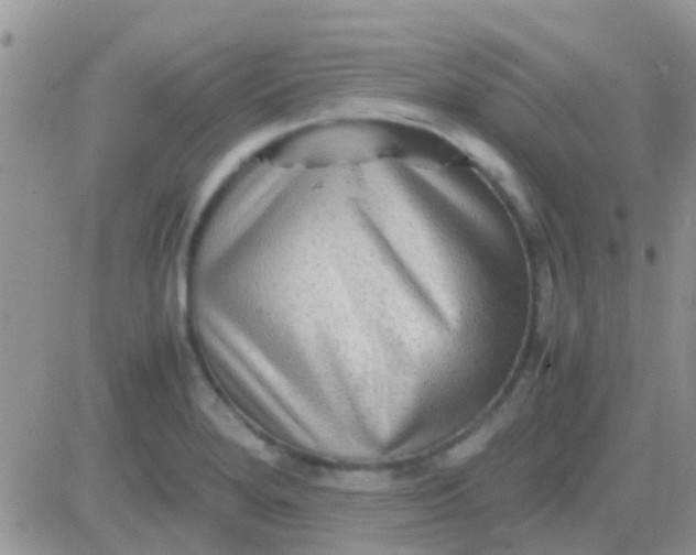 X0000081391280200701252055